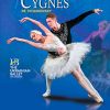 Le Lac Des Cygnes